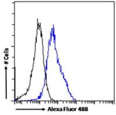 Flow Cytometry: Tryptophan hydroxylase 2 Antibody [NB100-2447]