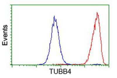 Flow Cytometry: Tubulin Beta 4 Antibody (OTI3F1) [NBP2-00812]