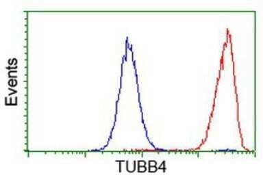 Flow Cytometry: Tubulin Beta 4 Antibody (OTI3F1) - Azide and BSA Free [NBP2-74713]