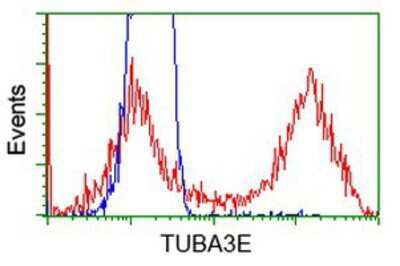 Flow Cytometry: Tubulin alpha-3E Antibody (OTI2A8) [NBP2-02878]