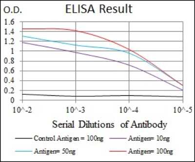 ELISA: Tubulin alpha-8 Antibody (2D6) - BSA Free [NBP2-37535]