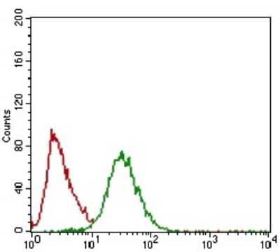 Twist-1 Antibody (10E4E6) - BSA Free (NBP2-37364) by Novus