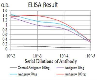 ELISA: Twist-2 Antibody (1A11D9) - BSA Free [NBP2-52579]