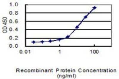 ELISA: Twist-2 Antibody (3C8) [H00117581-M01]