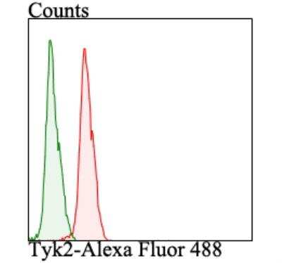 Flow Cytometry: Tyk2 Antibody [NBP2-76968]