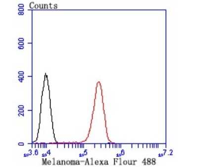 Flow Cytometry: Tyrosinase Antibody (C2-B5) [NBP2-67233]