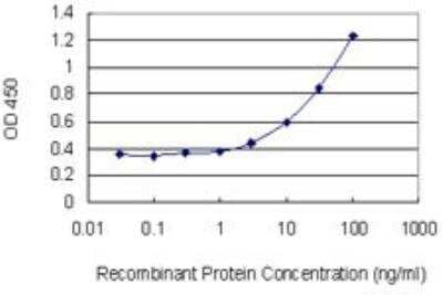 ELISA: UAP1 Antibody (3A9) [H00006675-M01]