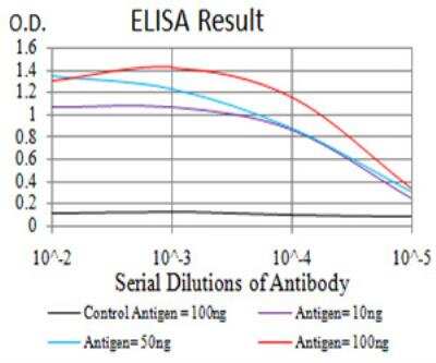 ELISA: UAP56 Antibody (3A2B2) - BSA Free [NBP2-52456]