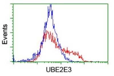 Flow Cytometry: UBE2E3 Antibody (OTI1B4) [NBP2-46271]