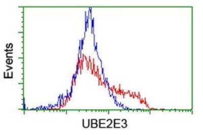 Flow Cytometry: UBE2E3 Antibody (OTI1B4) - Azide and BSA Free [NBP2-74737]