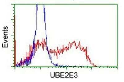 Flow Cytometry: UBE2E3 Antibody (OTI7E8) - Azide and BSA Free [NBP2-74745]