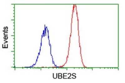 Flow Cytometry: UBE2S Antibody (OTI1B5) [NBP2-46279]