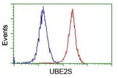 Flow Cytometry: UBE2S Antibody (OTI1B5) - Azide and BSA Free [NBP2-74749]