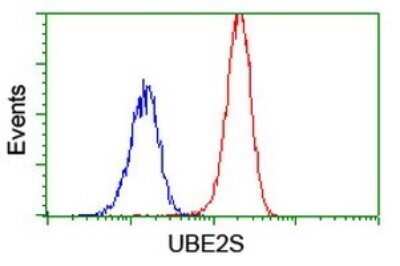 Flow Cytometry: UBE2S Antibody (OTI1B5) - Azide and BSA Free [NBP2-74749]