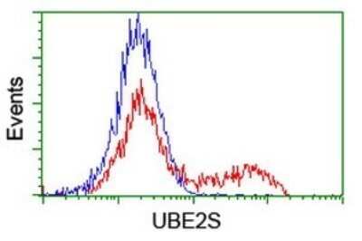 Flow Cytometry: UBE2S Antibody (OTI1B5) - Azide and BSA Free [NBP2-74749]
