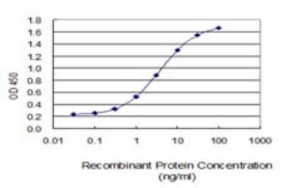 ELISA: UBE2W Antibody (7G4) [H00055284-M01]