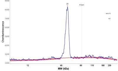 Simple Western: UBE2Z Antibody [NBP1-82245]