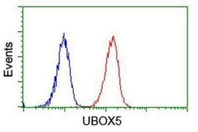 Flow Cytometry: UBOX5 Antibody (OTI1C5) - Azide and BSA Free [NBP2-74760]