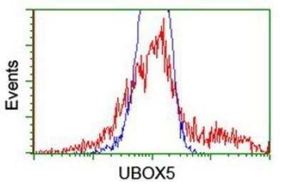 Flow Cytometry: UBOX5 Antibody (OTI1C5) - Azide and BSA Free [NBP2-74760]
