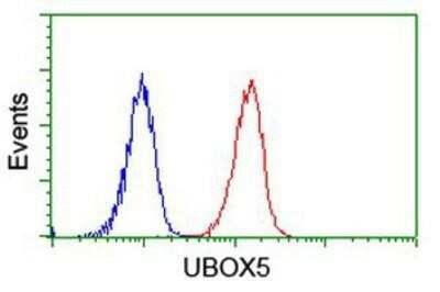 Flow Cytometry: UBOX5 Antibody (OTI1C5) [NBP2-01077]
