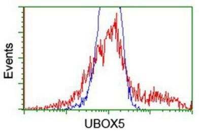 Flow Cytometry: UBOX5 Antibody (OTI1C5) [NBP2-01077]