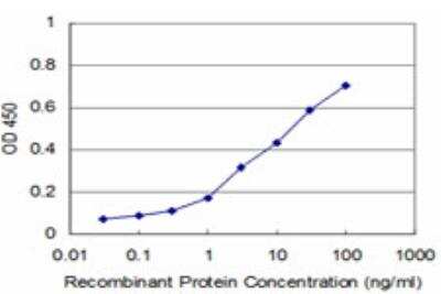 ELISA: UBTF Antibody (2D8) [H00007343-M04]
