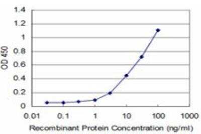 ELISA: UBTF Antibody (6C6) [H00007343-M02]