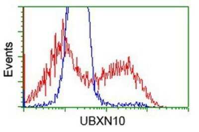 Flow Cytometry: UBXN10 Antibody (OTI1H5) - Azide and BSA Free [NBP2-74762]