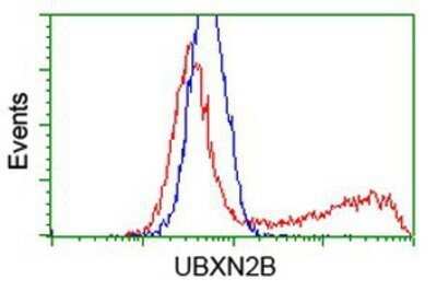 Flow Cytometry: UBXN2B Antibody (OTI1F7) - Azide and BSA Free [NBP2-74769]