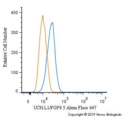 Flow Cytometry: UCH-L1/PGP9.5 Antibody [NB300-676]
