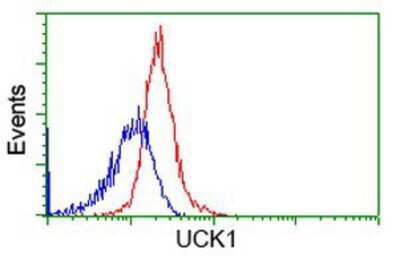 Flow Cytometry: UCK Antibody (OTI1A12) [NBP2-02875]