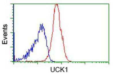 Flow Cytometry: UCK Antibody (OTI1A12) [NBP2-02875]