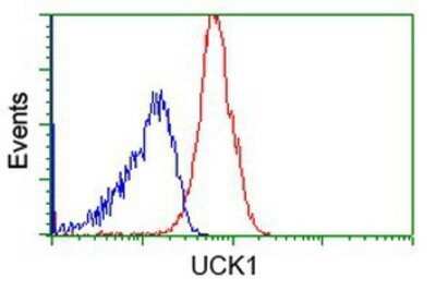 Flow Cytometry: UCK Antibody (OTI1A12) - Azide and BSA Free [NBP2-74779]
