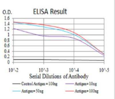 ELISA: UCP2 Antibody (3F1B9) - BSA Free [NBP2-52582]