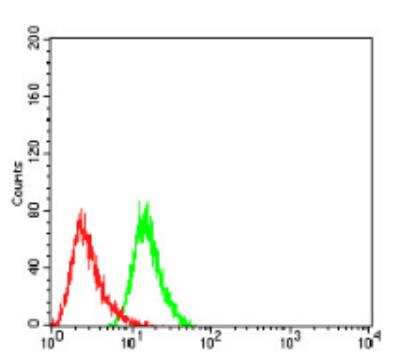 Flow Cytometry: UCP2 Antibody (3F1B9) - BSA Free [NBP2-52582]