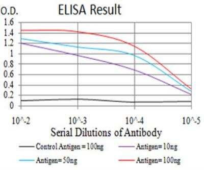 ELISA: UCP2 Antibody (6C8B3) - BSA Free [NBP2-52581]