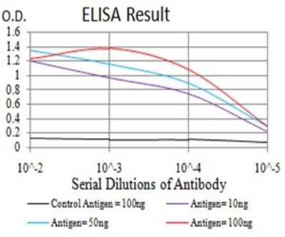 ELISA: UCP3 Antibody (6B8C6) - BSA Free [NBP2-61821]