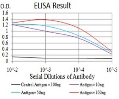 ELISA: UFD1L Antibody (2A6F3) - BSA Free [NBP2-61829]