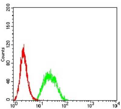 Flow Cytometry: UFD1L Antibody (2A6F3) - BSA Free [NBP2-61829]