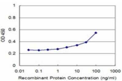 ELISA: UGT2B4 Antibody (2H6) [H00007363-M01]