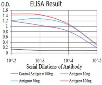 ELISA: UHRF1 Antibody (1A1B1) - BSA Free [NBP2-61838]