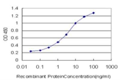 ELISA: UMPS Antibody (2F5) [H00007372-M05]