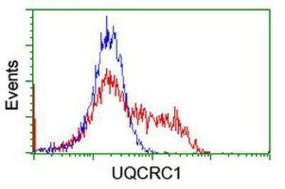 Flow Cytometry: UQCRC1 Antibody (OTI1G6) [NBP2-03825]
