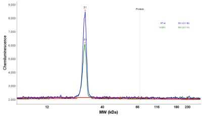 Simple Western: UQCRFS1 Antibody [NBP1-87826]