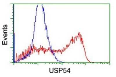 Flow Cytometry: USP54 Antibody (OTI1G6) [NBP2-45403]