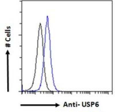 Flow Cytometry: USP6 Antibody [NBP2-76350]