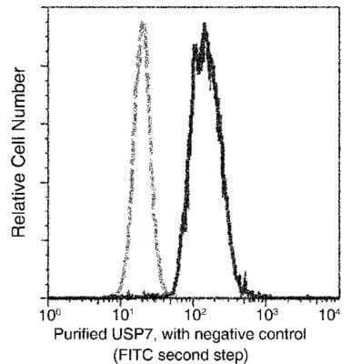 Flow Cytometry: USP7 Antibody (03) [NBP3-06427]