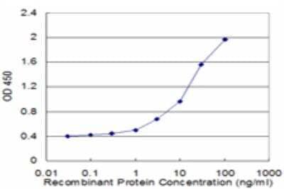 ELISA: USP9Y Antibody (2D3) [H00008287-M05]