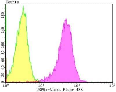 Flow Cytometry: USP9x Antibody (JG35-11) [NBP2-75704]