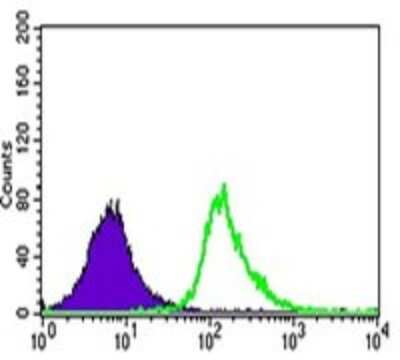 Flow Cytometry: UTF1 Antibody (5B6) - BSA Free [NBP2-37444]